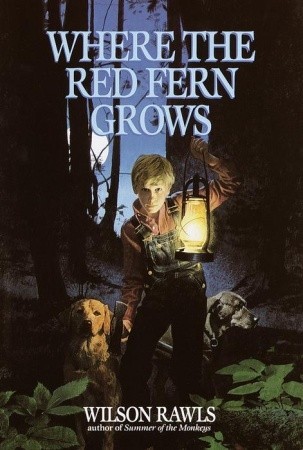 Where The Red Fern Grows Billy Physical Description
