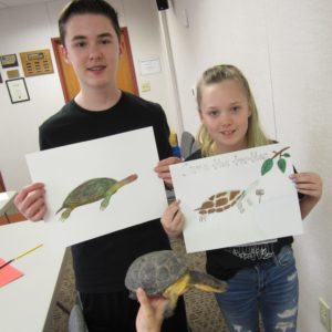 Project Tween: Sketch a Turtle (August 2019) Gallery